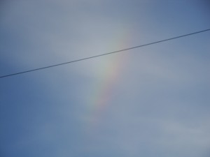 rainbow leftovers