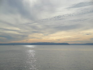 DSC01838