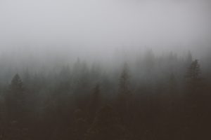 Courtesy Unsplash, Nicole Mason
